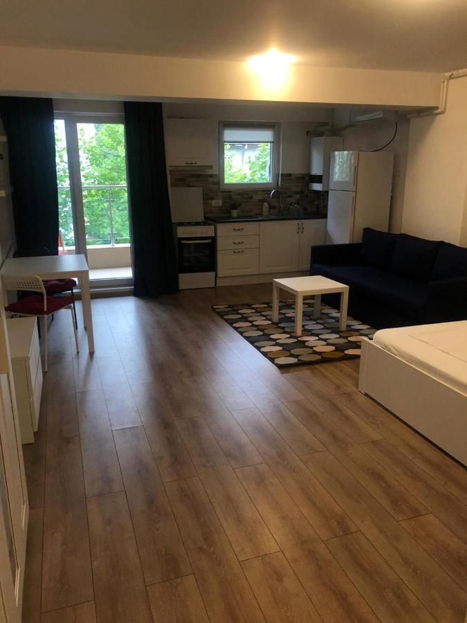 Beside Airport Apartment Otopeni Bagian luar foto